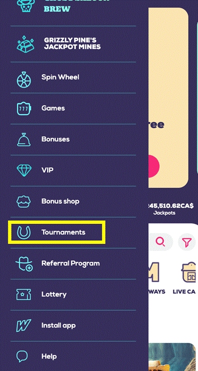 Tournaments Section